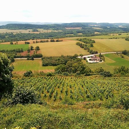 Вилла Gite Le Delice Tannay  Экстерьер фото